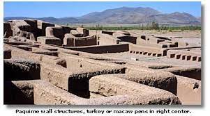 The Mysteries Of Paquime Desertusa Mexico Native People Of North America Chihuahua Mexico