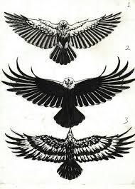 Black And White Eagle Tattoo Designs Pin By Cj Landers On Tattoo Ideas Crow Tattoo Crow Tattoo Design Eagle Tattoos