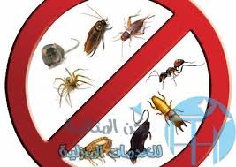 Account Temporary On Hold Business Website Design Great Websites Design