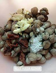 Fella dan nina sepakat kompakan memakai rok span berwarna senada, hitam, sehingga tampak kontras dengan paha keduanya yang putih mulus. Kerang Kecil Warna Putih Reset