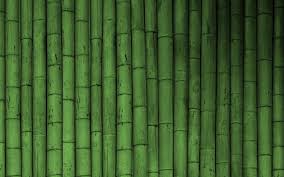 Any green wallpaper can also be used on a tablet device such as an ipad. Hd Bamboo Wallpapers Download Free 1280a 800 Bamboo Green Wallpaper Bamboo 1920x1200 Wallpaper Teahub Io