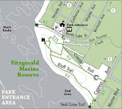 Visit The Tidepools Friends Of Fitzgerald Marine Reserve