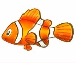 Jangan anggap sepele ketika pelihara ikan cupang. Cara Menggambar Ikan Nemo Ikan Badut Cilacap Klik