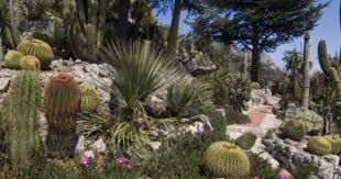 Botanic Garden Jardin Exotique Eze Village Alpes Maritimes Provence Cote D Azur France Photographic Print Sergio Pitamitz Allposters Com In 2020 Botanical Gardens Garden Paths France