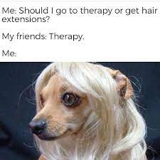 we all know i love i good hair dog meme hairmemes hairextensions torontohairextensions almostfriday