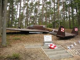 Znalezione obrazy dla zapytania PZL-37