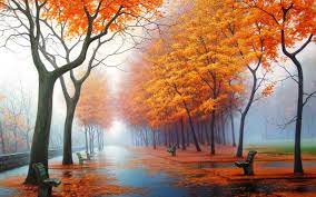 Check spelling or type a new query. Imagini Fundal Desktop Toamna Poze Wallpaper Hd 1280x800 Wallpapertip