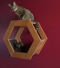 birakin miril miril uyusun evdeki ivir zivirla yapabileceginiz 17 yumusacik kedi yatagi cat shelves cat wall cat bed