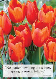 Garden Nurseries Landscaping Services Design Florists Patio Furniture And The Areas Largest Christmas Stores In The Detroit Mi Area From Locations In Clint Landscape Services Garden Nursery Michigan Gardening