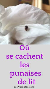 Dans la majorité des cas, 1 seul traitement suffit pour éradiquer votre infestation de punaise de lit. Weight Loss Transformation