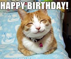 Image result for happy birthday cat meme"
