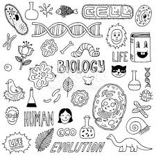 Hand Drawn Biology Inspired Images The Background Is White All 40 Biology Drawing Doodles Science Doodles