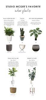 Shop Concrete Fluted Planter Large 23 Bullet Planter White Grooved Droplet Planter Seagrass Basket Modernica Case Stud Plants Indoor Plants House Plants