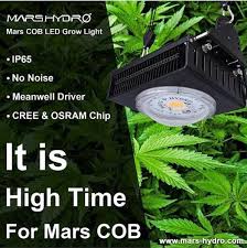 #2 fluorescent grow lights (cfl and t5) fluorescent grow light goes well with the infant stages of your plants. Mars Hydro Medium