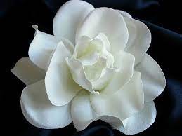 Gardenias The Fragrance Of Heaven Flower Hair Clips Wedding Wedding Hair Clips Flower Hair Clips