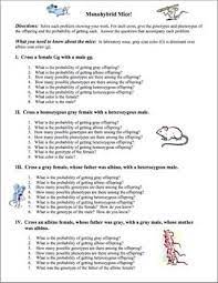 Punnett Squares Punnett Squares Mazes For Kids Printable Kids Math Worksheets