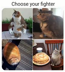 Choose Your Fighter Animal Memes Funny Memes Comebacks Funny Animal Pictures