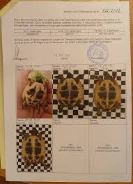 Für staatsangehörige von mitgliedstaaten der europäischen union (eu) und staaten des. Griechische Landschildkroten