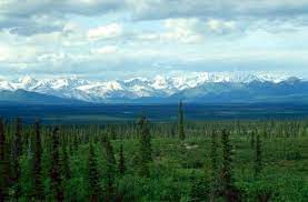 Que Es Taiga Definicion Y Caracteristicas Bioma Taiga Bioma Terrestre Tipos De Bosques