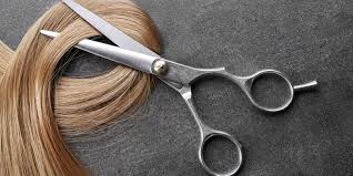 We did not find results for: Potong Rambut Perempuan Yang Tertidur Di Bus Pria Hong Kong Ditahan
