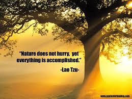 Every one of us have inside of us the innate, infinite power to heal and help another through. Nature Does Not Hurry Yet Everything Is Accomplished Lao Tzu Developingsuperleaders