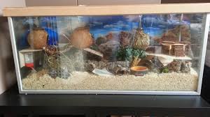 Hamster Cage Habitat Aquarium Terrarium 100x36x45 Lxbxh House For My 2 Campbell Dwarf Hamsters Ravi Suno Hamster Cage Hamster Habitat Hamster