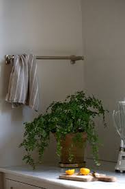 Best Houseplants 9 Indoor Plants For Low Light Gardenista Low Light Plants Indoor Plants Low Light Best Indoor Plants