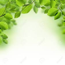 Pageborders.org is a collection of free printable borders and frames to use with microsoft word, photoshop, and other applications. Green Leaves Border Background Stock Photo Picture And Royalty Free Image Image 27286672