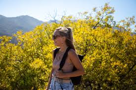 Jessica Ertel – Medium