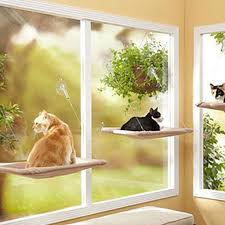 Cama Asilan Vantuzlu Kedi Yatagi Evi Sunny Seat Cat Bed Macroget