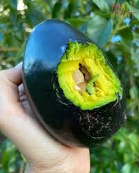 Image result for Avocado Dark 1969 Tappan