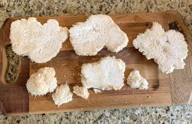 This will dehydrate the mushroom while intensifying the flavours. Blackened Lion S Mane Mushroom Steaks Trimazing