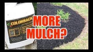 Mulchworx black mulch color concentrate 2,800 sq. Colorback Liquid Mulch Colorant Review Refresh Your Mulch Youtube