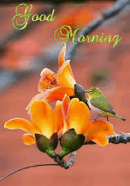 155+ best good morning wishes | latest. Good Morning Flowers Gifs Tenor