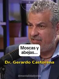 ¿Eres mosca o eres abeja?