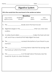 It helps us understand who we are as humans and. 4th Grade Science Worksheets Best Coloring Pages For Kids Science Worksheets 4th Grade Science Biology Worksheet