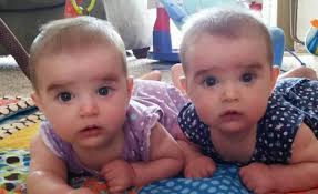 Record Breaking Nevada Big Day, May 2016