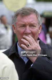 249 The Entenmann Stock Photos, High-Res Pictures, and Images