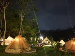 Salah pilih menu makan pada malam hari bisa membuat berat badan bertambah lo. Serunya Berkemah Di Hutan Sengon Nikmati Api Unggun Sambil Makan Bbq Travel Tempo Co