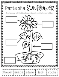The May Packet And Freebies First Grade Science Kindergarten Science Science Worksheets