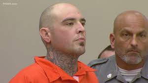 Woodbury man came within 1 millimeter of stabbing Ofc. Tim Wright to death,  prosecutors say