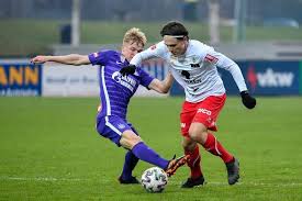 Željko kalajdzic ( sırpça kiril : Fc Dornbirn Aktuelle Nachrichten Auf Vn At