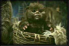 Baby Ewok Ewok Baby Ewok Star Wars Memes