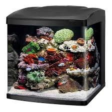 Top 10 Best Fish Tanks In 2020 Reviews Buyer S Guide Aquarium Kit Nano Reef Tank Cool Fish Tanks