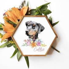 To give your painting more life, be sure to add shading. The Best Custom Pet Portraits And Paintings Hgtv