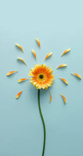 Over 40,000+ cool wallpapers to choose from. Wallpaper Iphone Bunga Bunga Indah Wallpaper Ponsel Bunga Kering