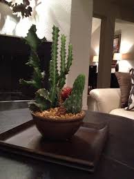 Cactus is a great addition to the home thanks to its striking shape, size, and flowers. How And When To Prune A Cactus Dummer Garden Manage Gfinger Es La App De Jardineria Mas Profesional