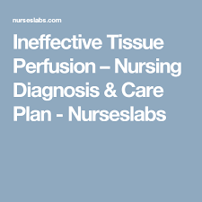 Ineffective peripheral tissue perfusion related inflammatory response secondary to cellulitis as evidence by faint doppler pulses in the lower extremities and patient's complaint of pain when walking. Ineffective Tissue Perfusion Nursing Diagnosis Care Plan Nursing Diagnosis Nursing Care Plan Care Plans