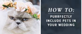 3,657 likes · 43 talking about this · 59 were here. Conklyns Event Flowers Author At Conklyn S Weddings Events Alexandria Va