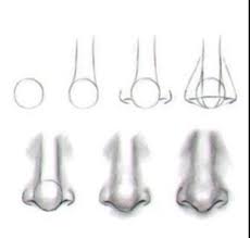 Drawing Noses Drawing Artistry Drawingtips Howtodraw Artist Pencil Sketches Nose Drawing Drawings Sketches
